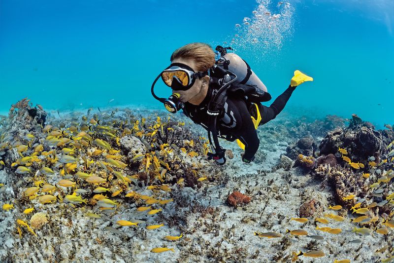 Diver using scuba equipment