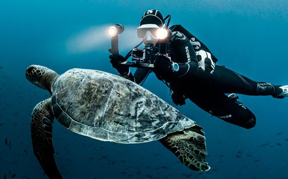 Julie Andersen scuba