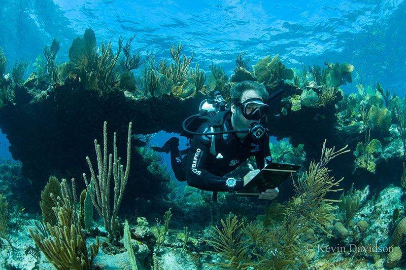 Bahamas Diving