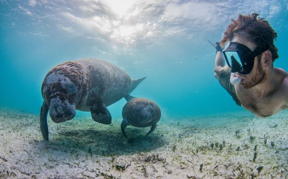 Caine Delacy with turtles