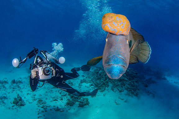 underwater photographer with a fish