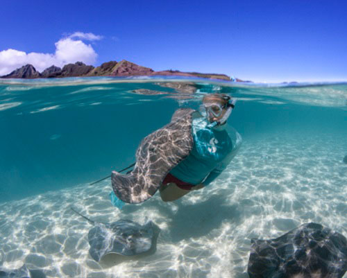 Daniela Dirscherl with sting ray