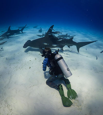 James Glancy diving with sharks