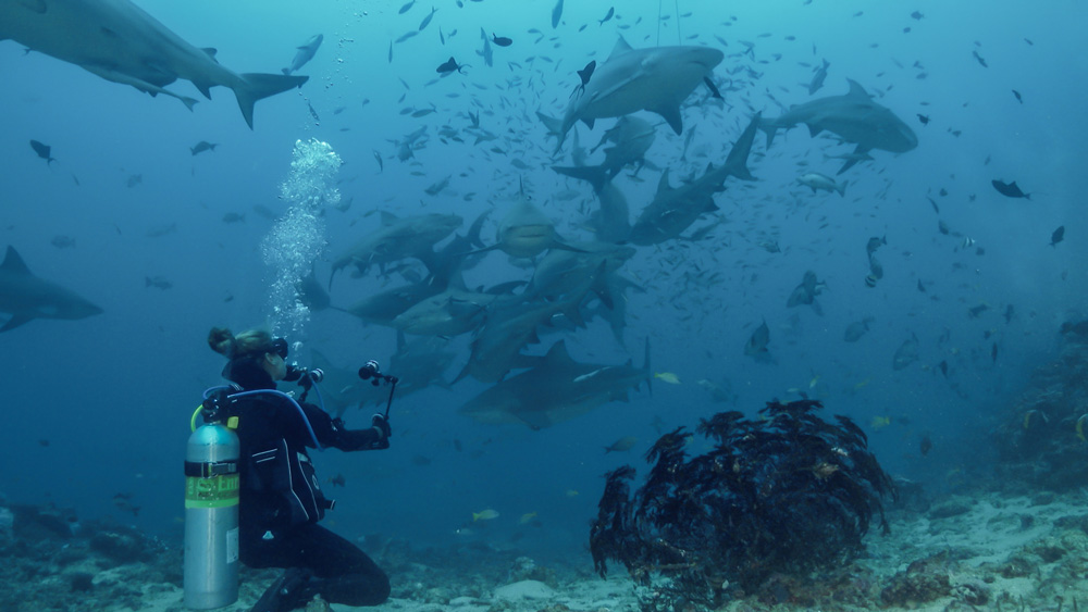 Natasha Dominique Marosi with sharks