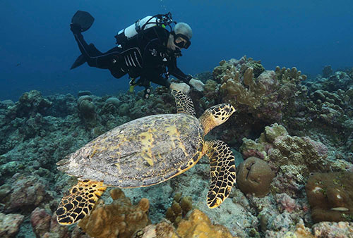 Paul Rose with turtle