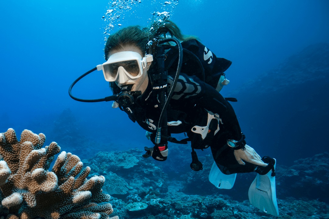 Scuba Diver underwater wearing a SCUBAPRO Everflex Wetsuit