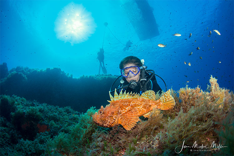 scuba diver near an orange fish