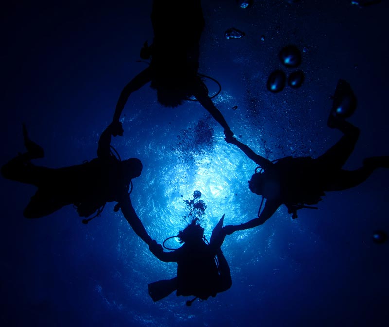 Group of divers training for scuba diving certification