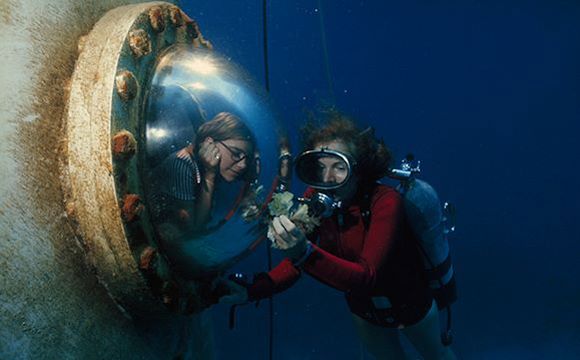 Sylvia Earle