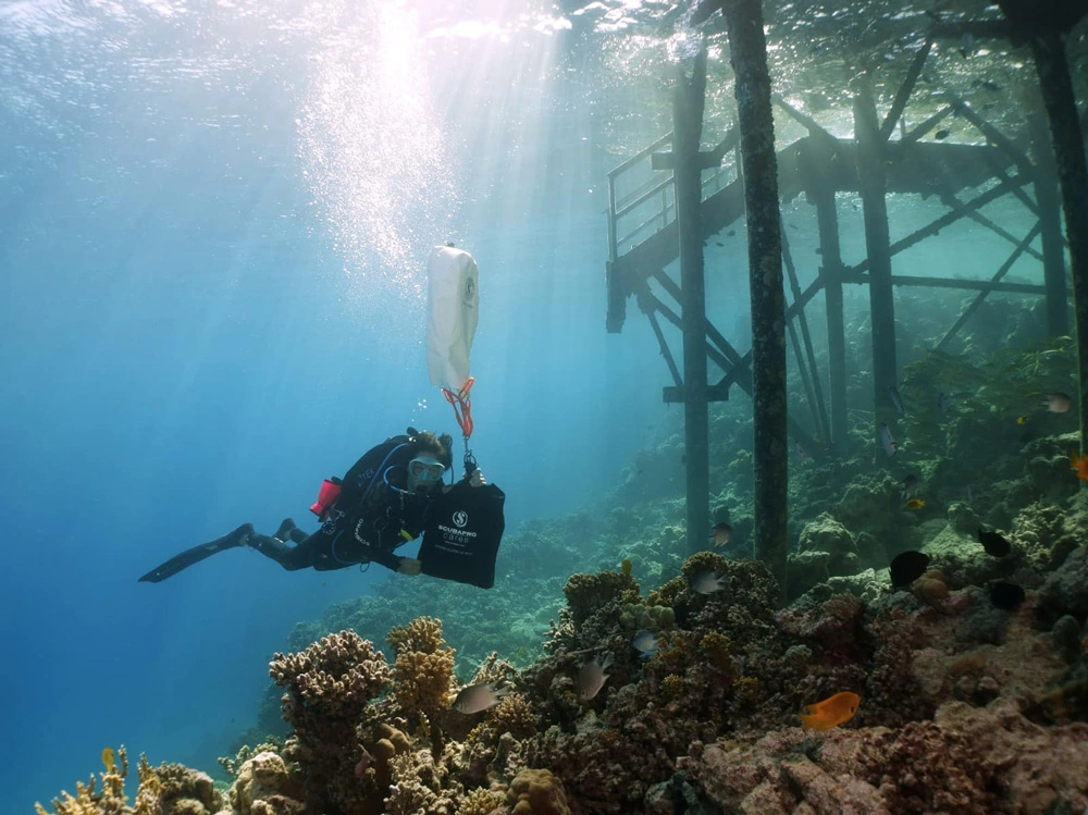 Global Dive Team Member Monica Hofbauer