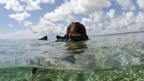 Snorkeler wearing the Cruiser Snorkeling Vest