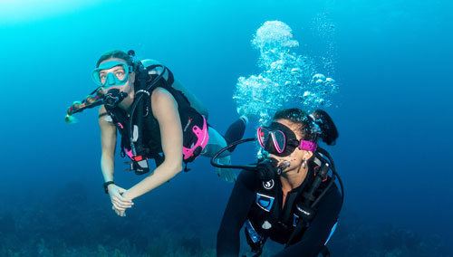 Two women divers underwater