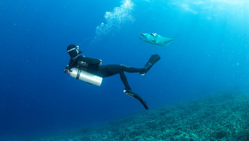 Underwater diver wearing the Everflex YULEX Dive Hooded Vest