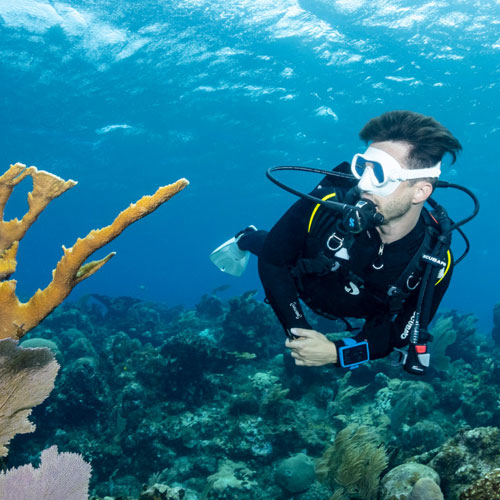 Underwater diver looking at coral