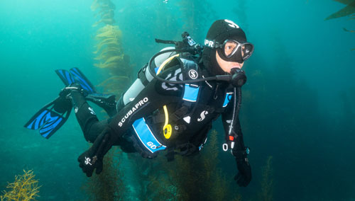 Underwater diver wearing the SCUBAPRO GO BCD with BPI