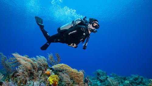 Diver in blue water swimming over the ocean floor