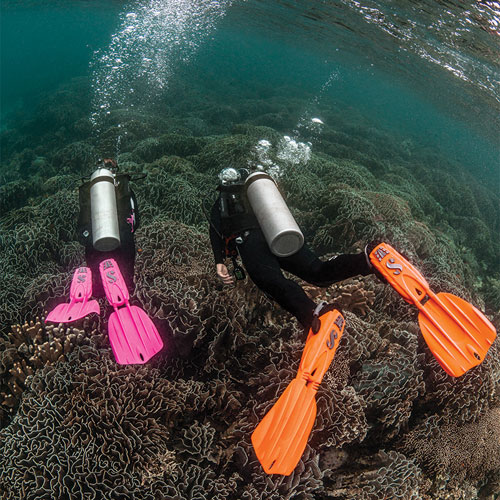 Two divers underwater wearing SCUBAPRO Seawing Nova Fins