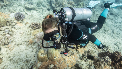 Woman diver underwater wearing the SCUBAPRO 3mm Sport Steamer