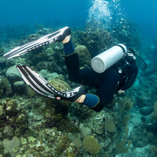 Underwater diver exploring the ocean floor