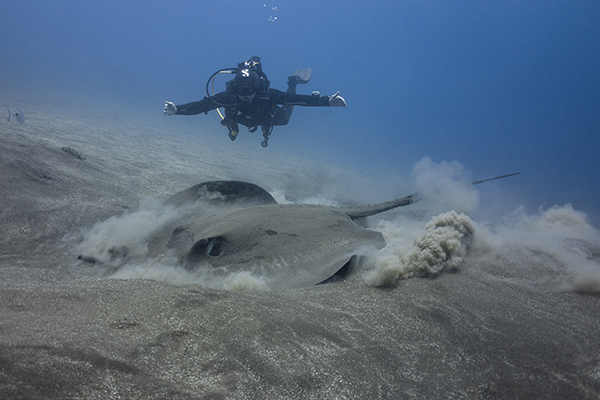 aquarius_dive_center_tenerife_5_0