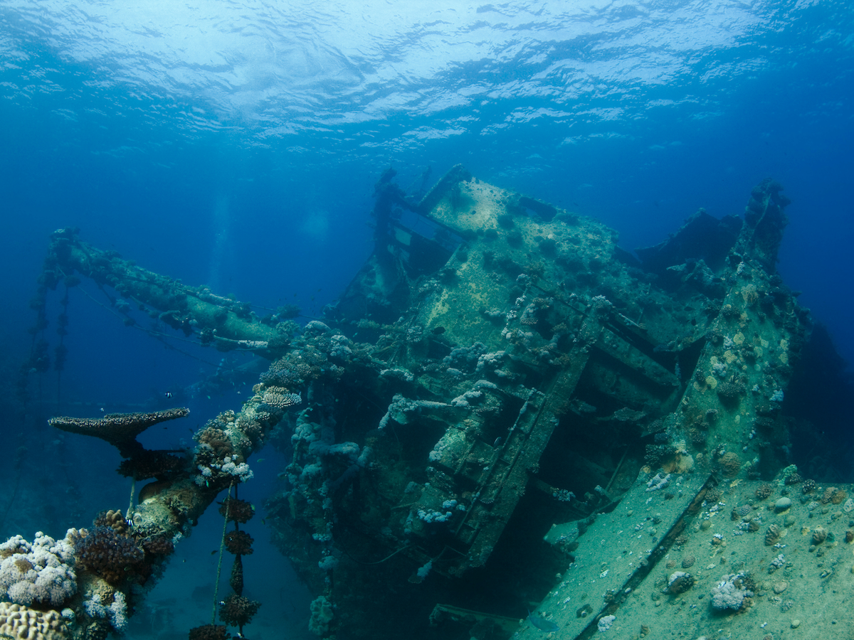 SS Yongala Shipwreck - Australia Great Barrier Reef Diving