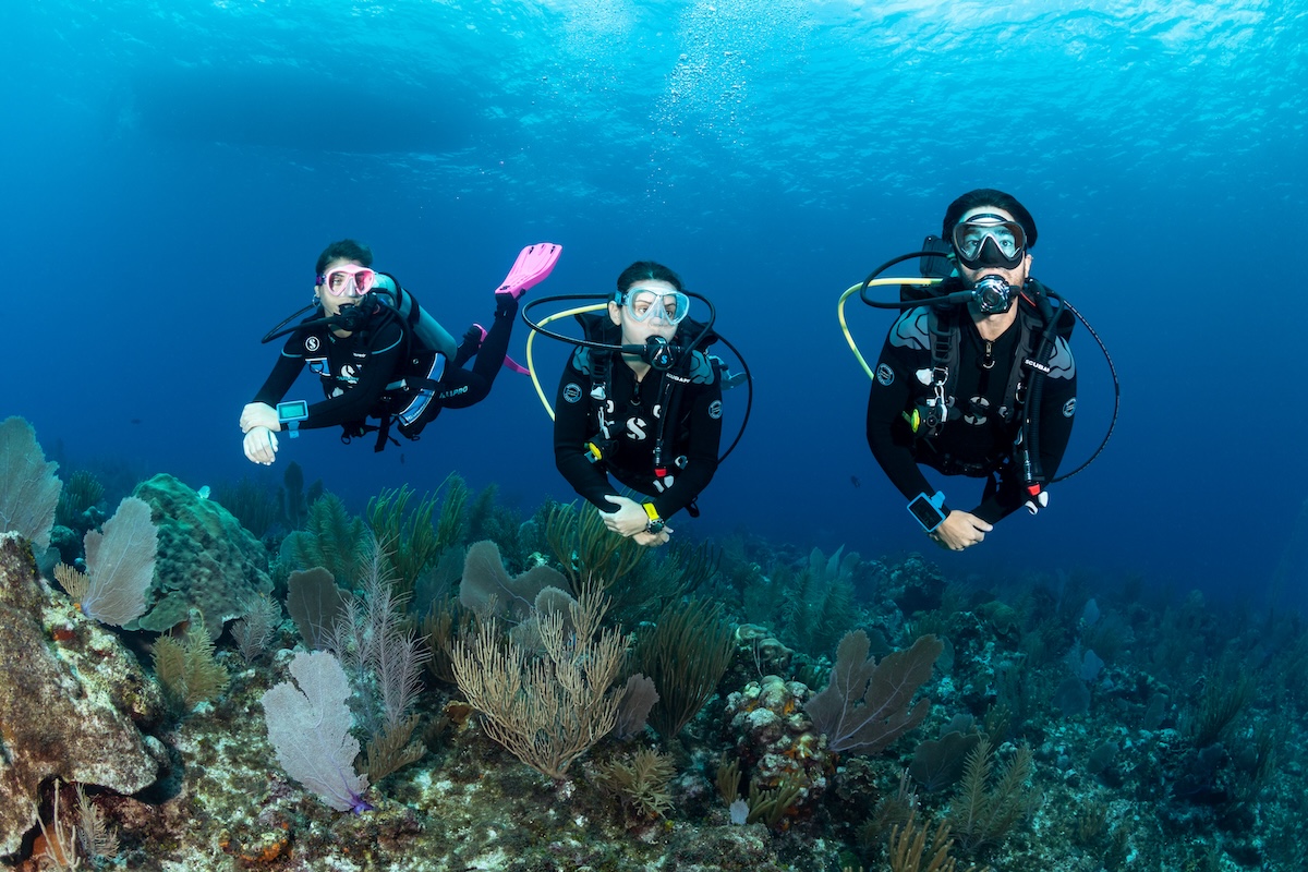 A group of 3 people scuba diving