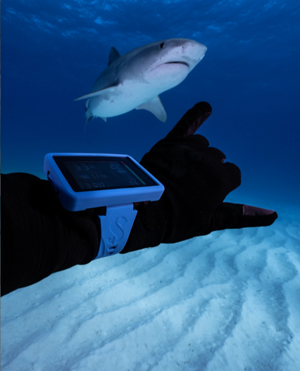 Scuba diver arm with a dive watch and a shark in the background