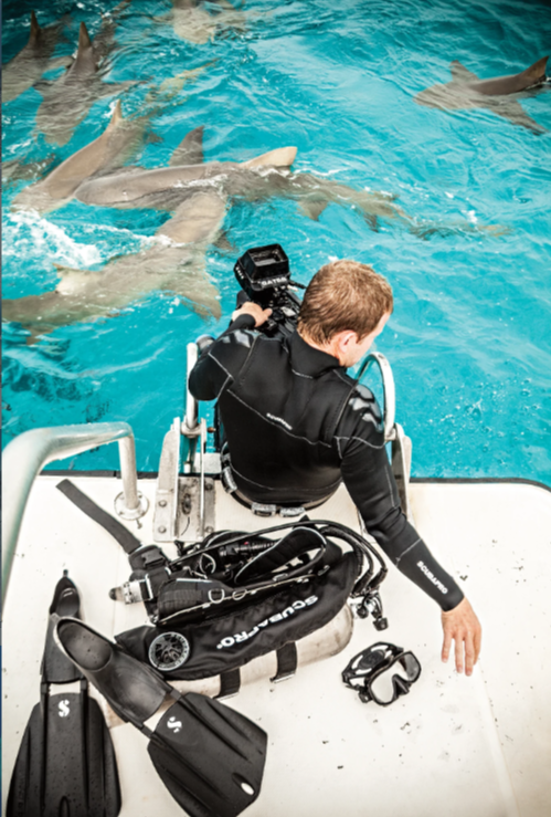 scuba diver swimming with sharks