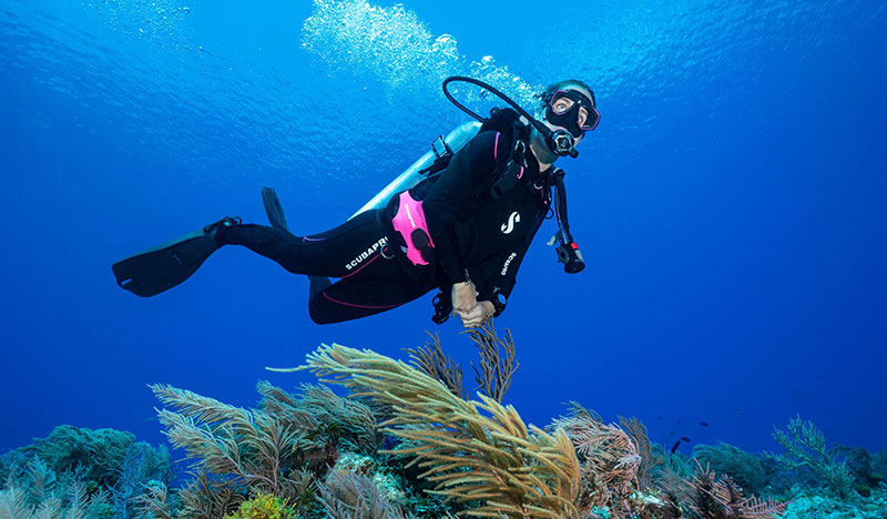 woman in wetsuit