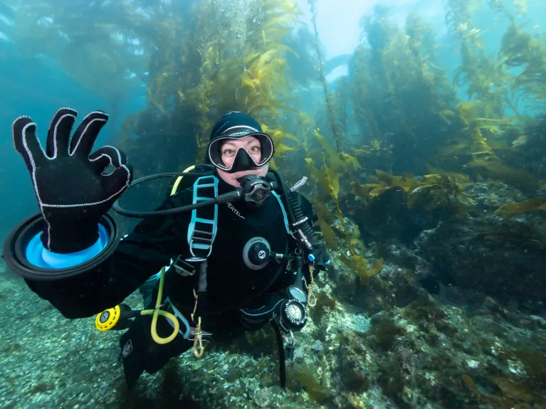 diver in cold water