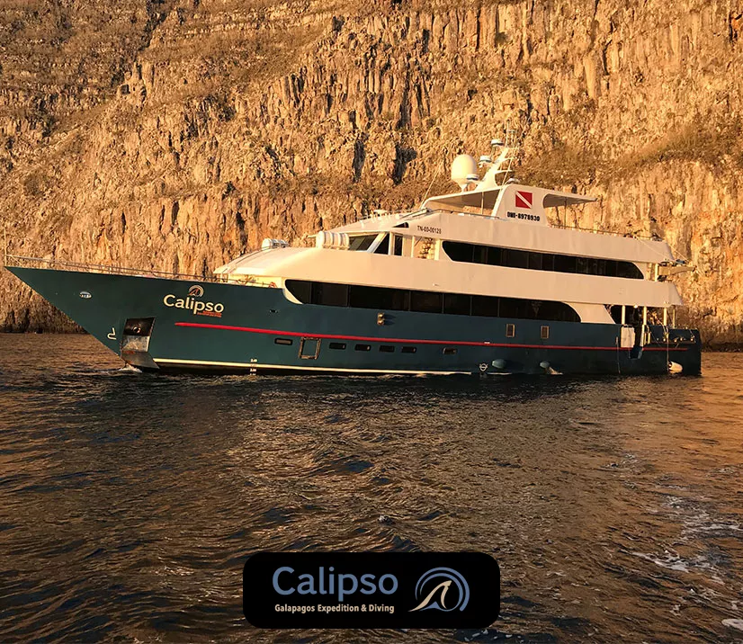 calipso_liveaboard