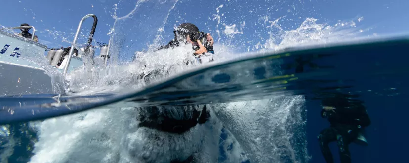 diver jumps into the ocean